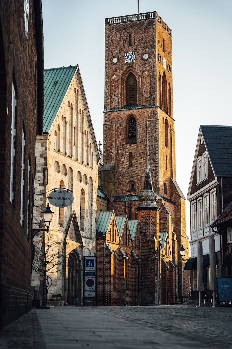 Ribe VikingeCenter