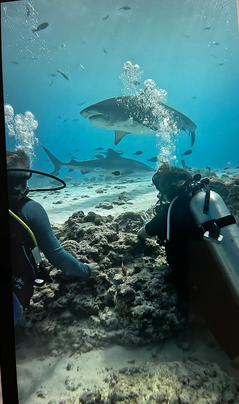 Fuvahmulah Travel Guide - Best time to visit - Booked ai