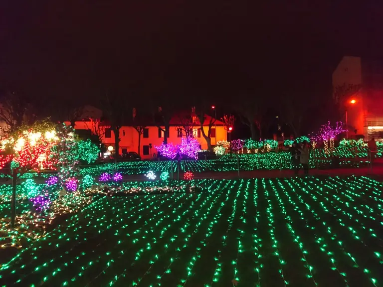 Pierre Forsans Public Garden