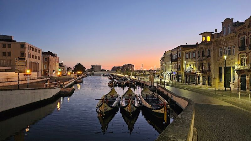 Hotel Aveiro Palace