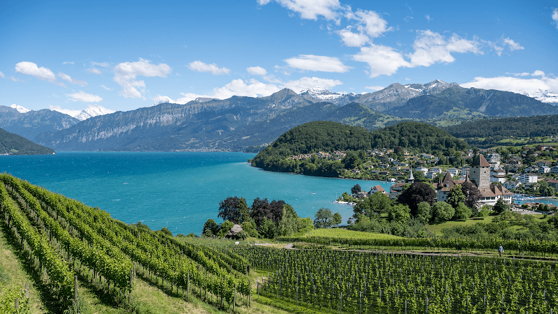 Visit Spiez Castle