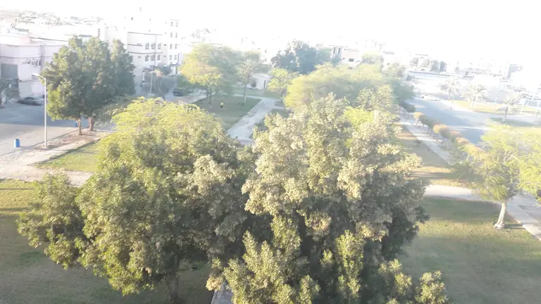Al Masoudi District park - Al Hofuf - Saudi Arabia