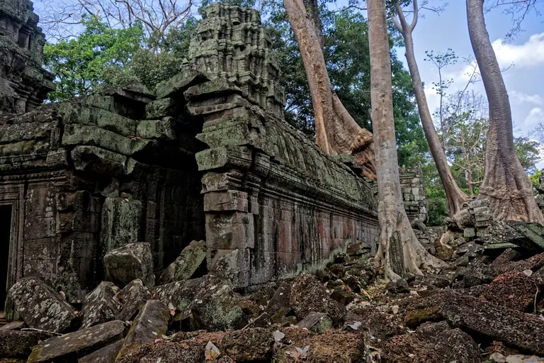 Ta Prohm Temple