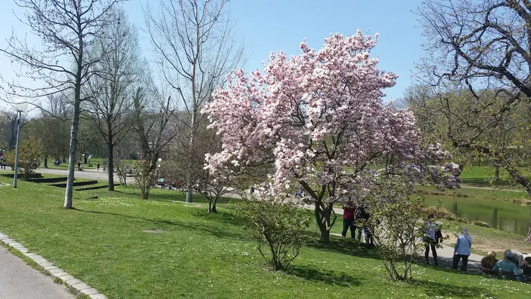 Unterer Schlossgarten