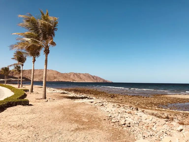 Sifah Beach