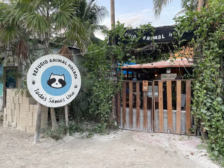 Holbox animal rescue