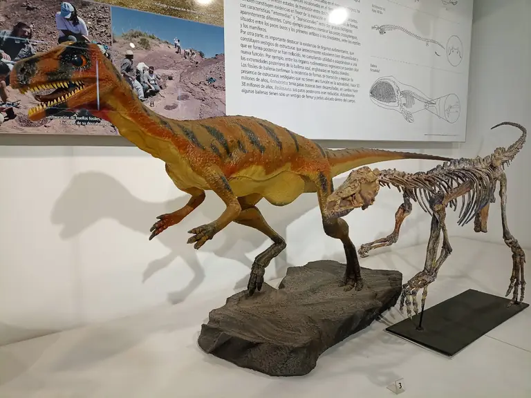 Museo de Ciencias Naturales y Antropológicas Juan Cornelio Moyano