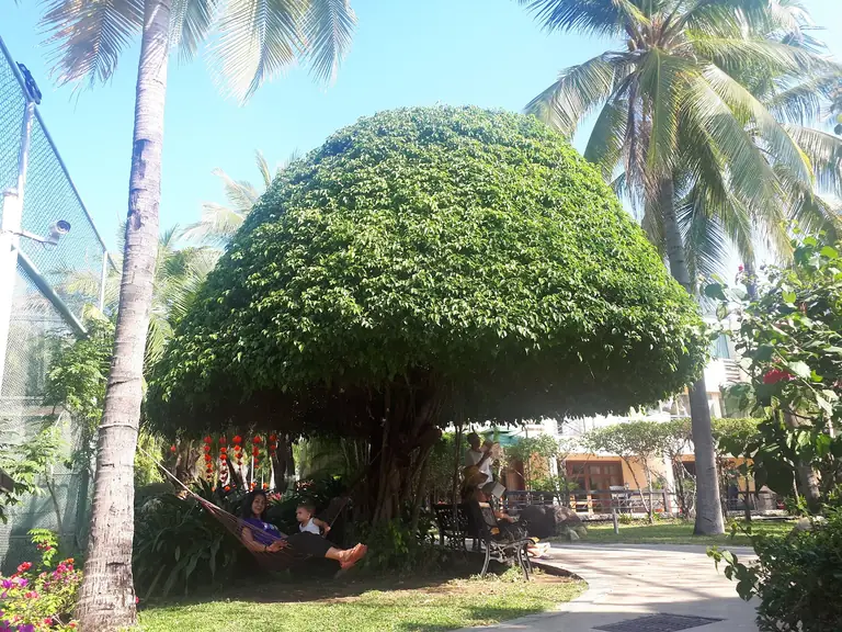 Palm Beach Resort & Spa