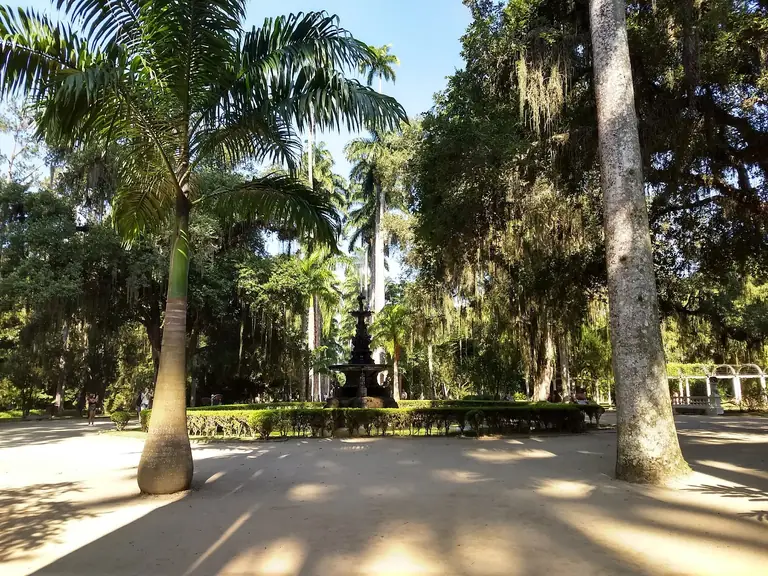 Botanical Garden of Rio de Janeiro