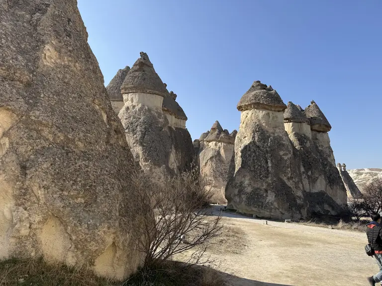 Cappadocia Visitor - Cappadocia - Turkey