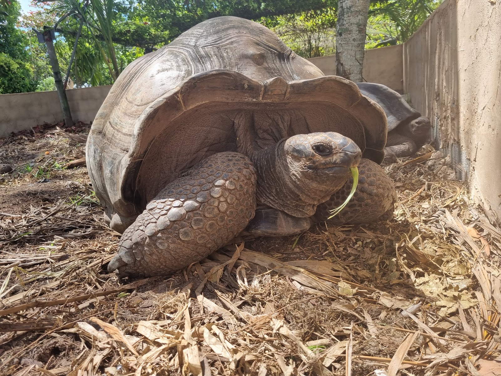 Praslin Museum - Seychelles Islands