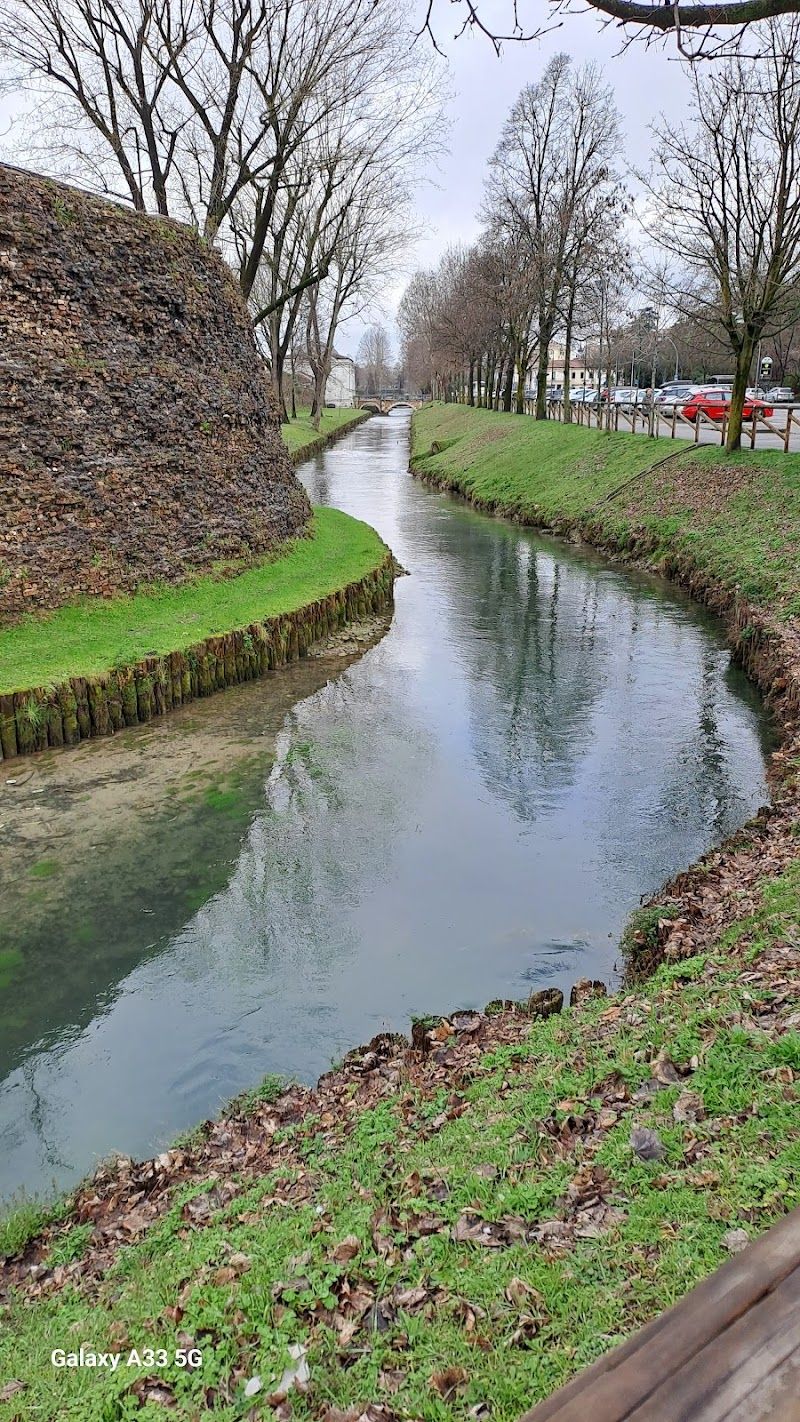 Explore the Historic City Center, Treviso