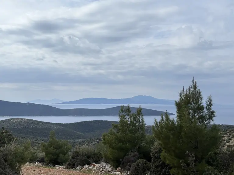 Yüksel Çağlar Hatıra Ormanı