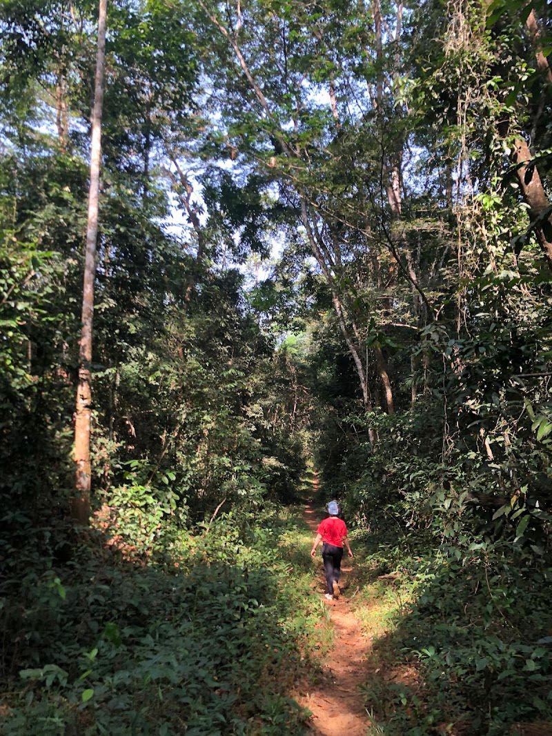 Gola Forest Reserve
