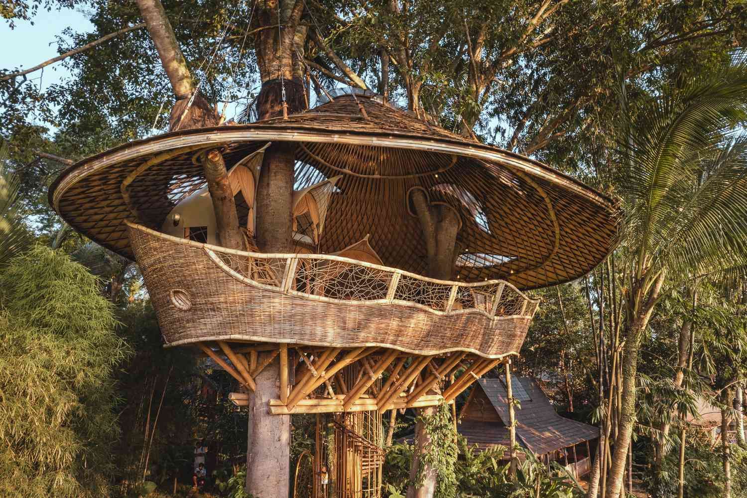 Best Treehouse Hotels Around the World | Booked AI