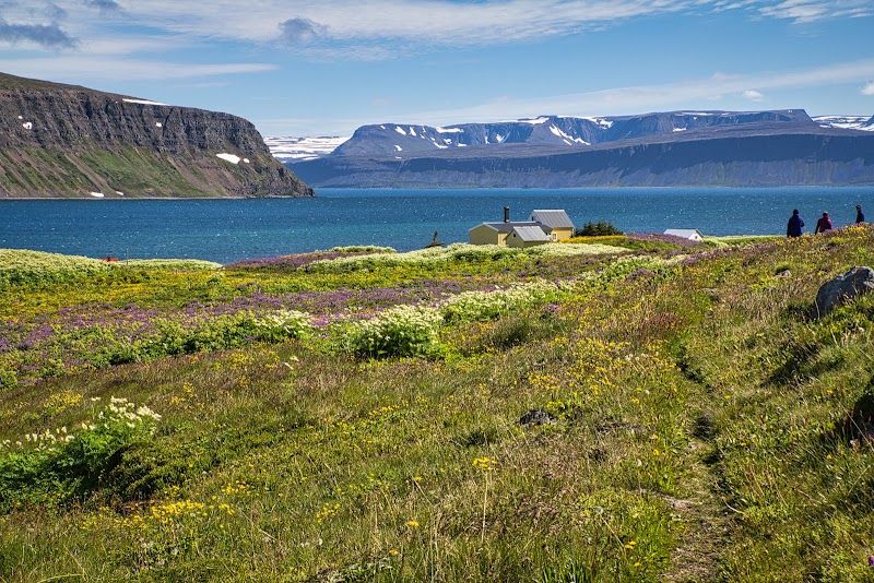 Explore Hornstrandir Nature Reserve