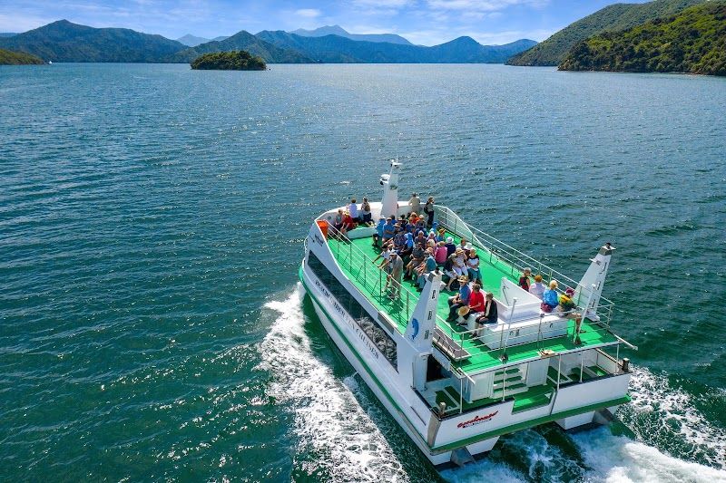 Marlborough Sounds Cruise