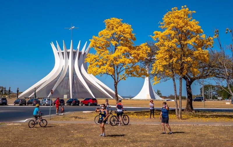 Explore the Cathedral of Brasília