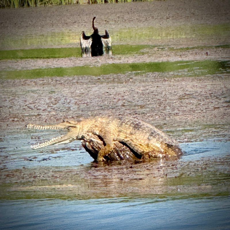 Ord River Kununurra Western Australia