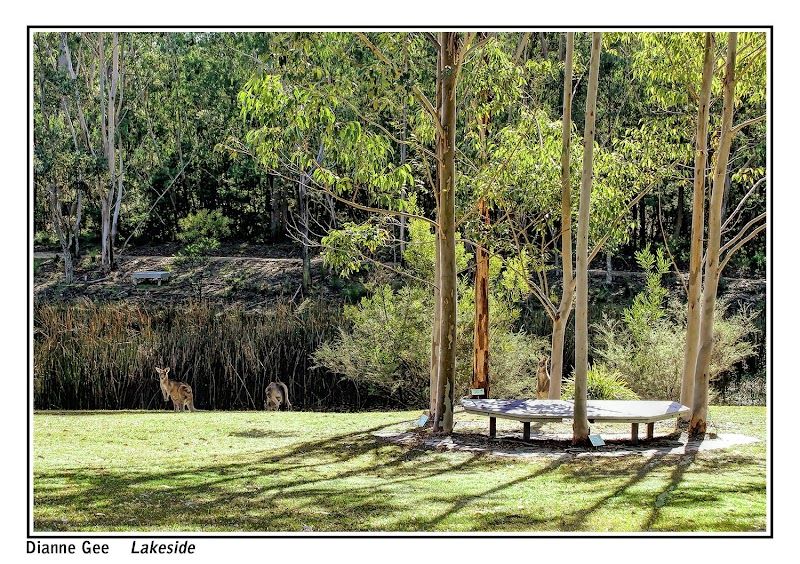 Eurobodalla Regional Botanic Garden