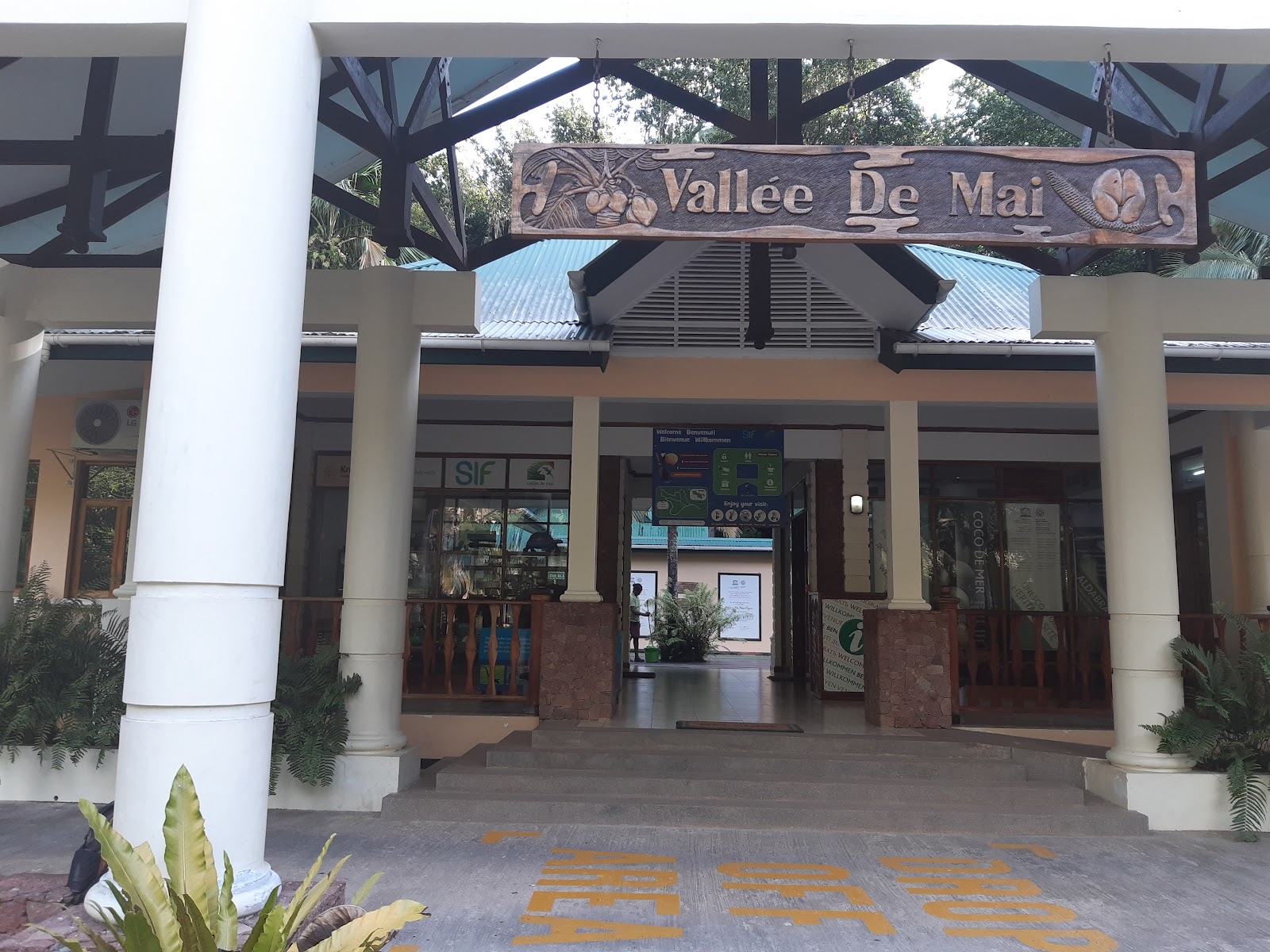 Vallée de Mai, Praslin, Seychelles - Seychelles Islands