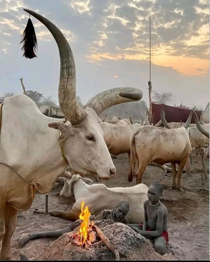 Juba Tours