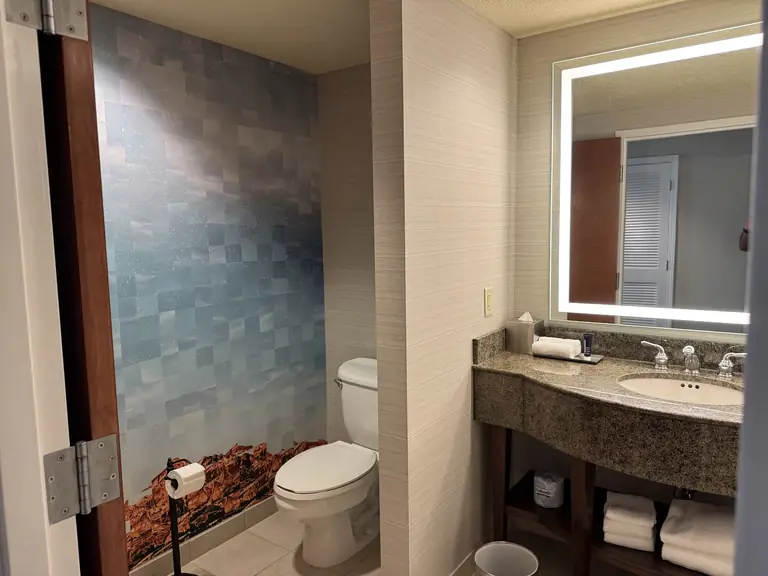 Renaissance Dallas Richardson Hotel