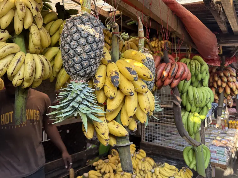 Zanzibar Spice Community Shop - Zanzibar City - Tanzania