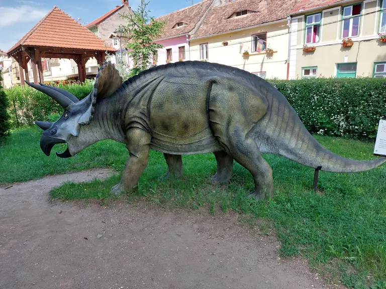 Natural History Museum