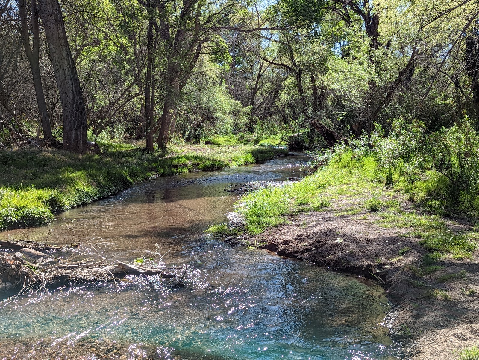 Sonoita Creek State Natural Area - Bisbee - Arizona