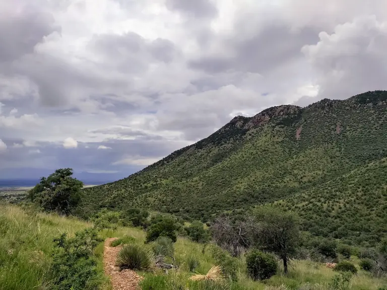 Coronado National Memorial