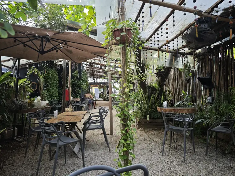 Arte Sano Vegan and Vegetarian Restaurant - Isla Holbox