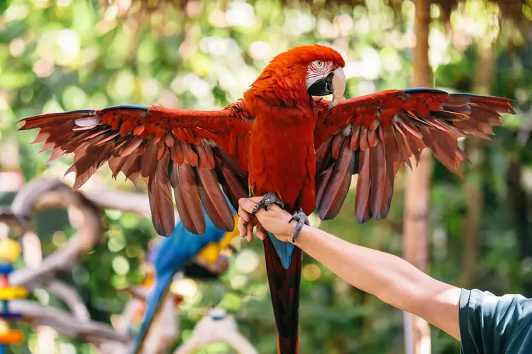 Catamaran Resort Hotel and Spa