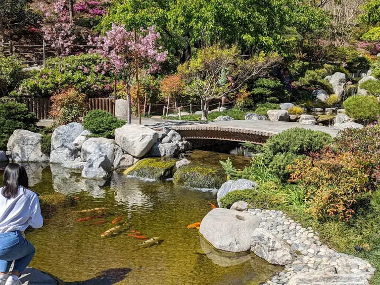 Japanese Friendship Garden & Museum