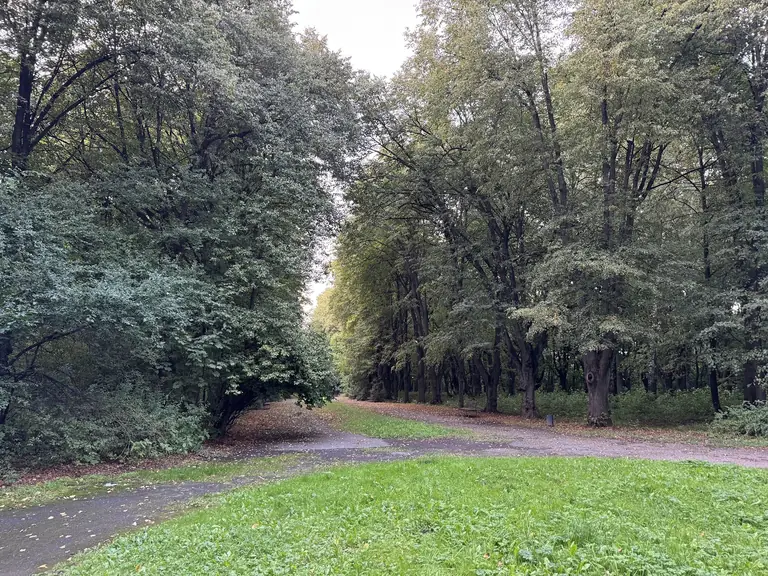 Snopkivsʹkyy Park - Lviv - Ukraine