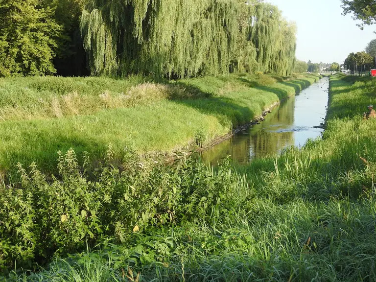 Bulwar Loughborough - Zamosc - Poland