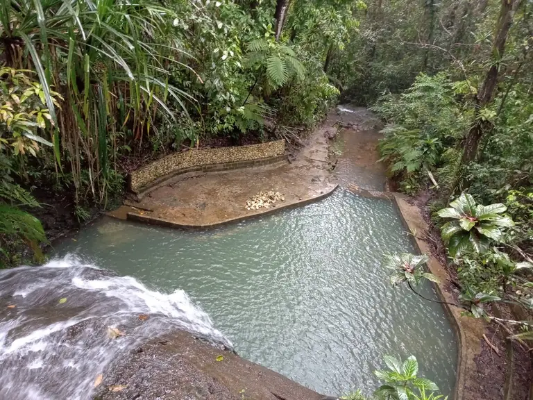 Colo-I-Suva Forest Park