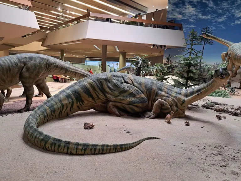 State Museum of Natural History Stuttgart