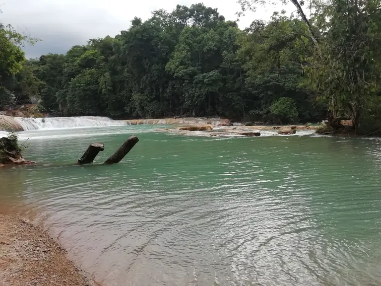 Cascadas de Agua Azul