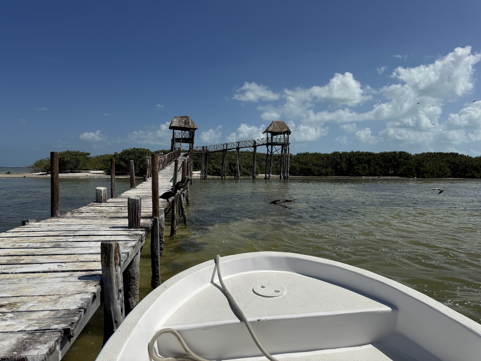 Isla de los Pajaros - Isla Holbox