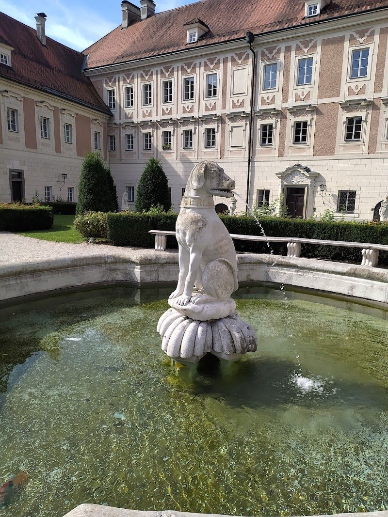 Explore the Historic Old Town Steyr