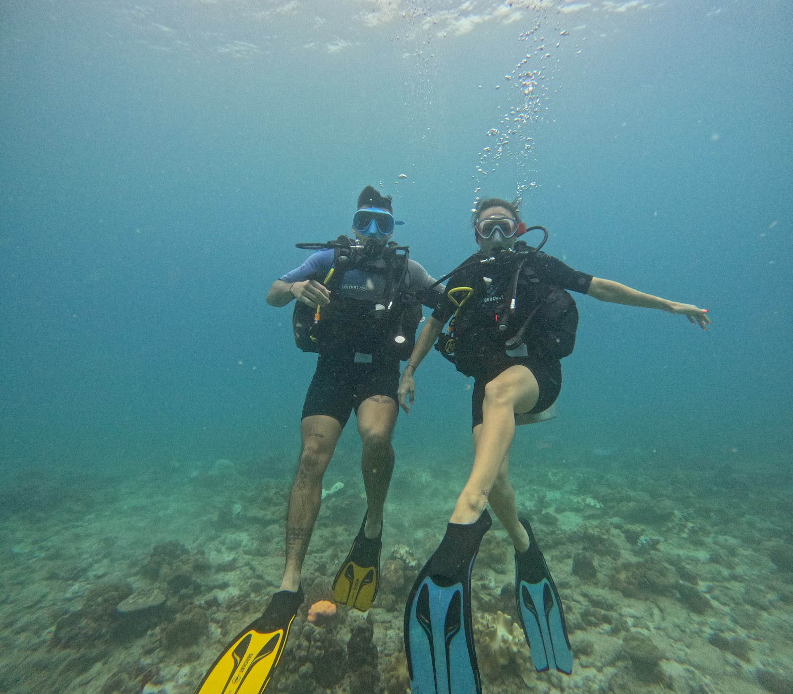 Blue Sea Divers Seychelles - Seychelles Islands