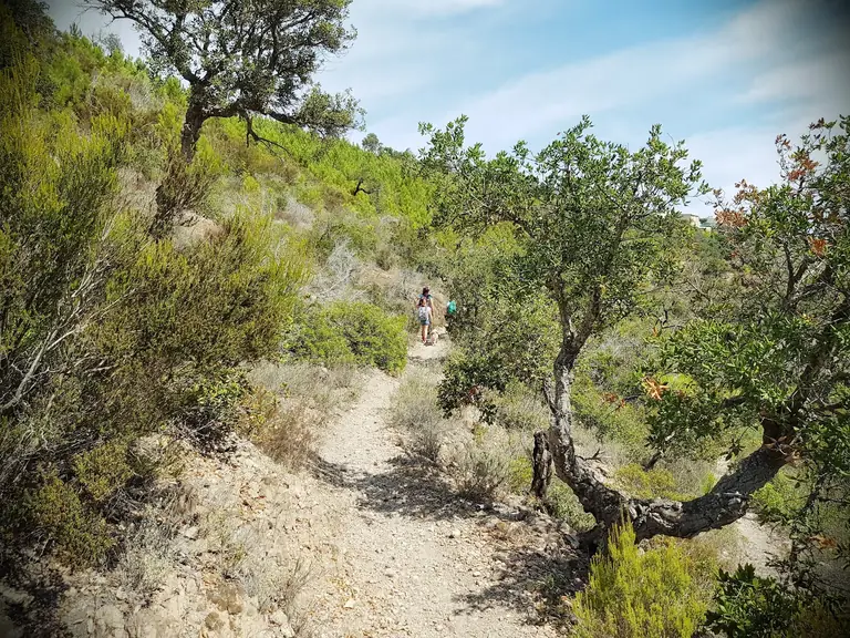 Parc forestier du San Peyre