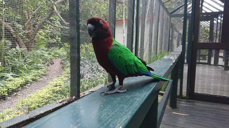 Kula WILD Adventure Park