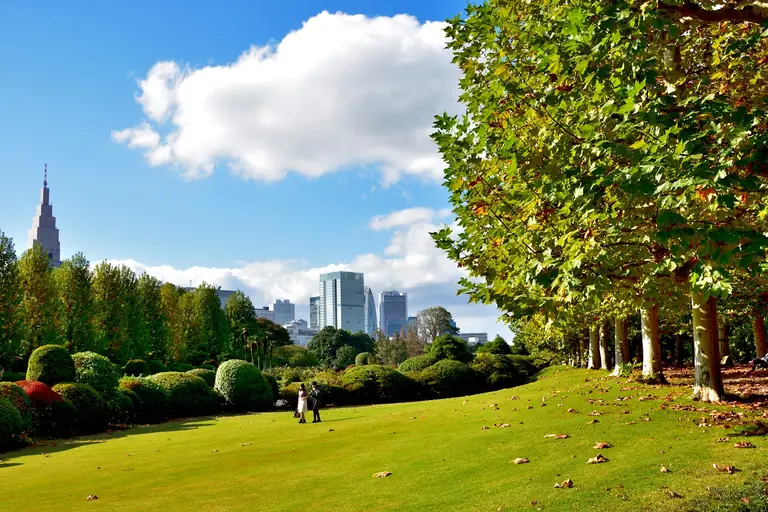 Shinjuku Gyoen National Garden