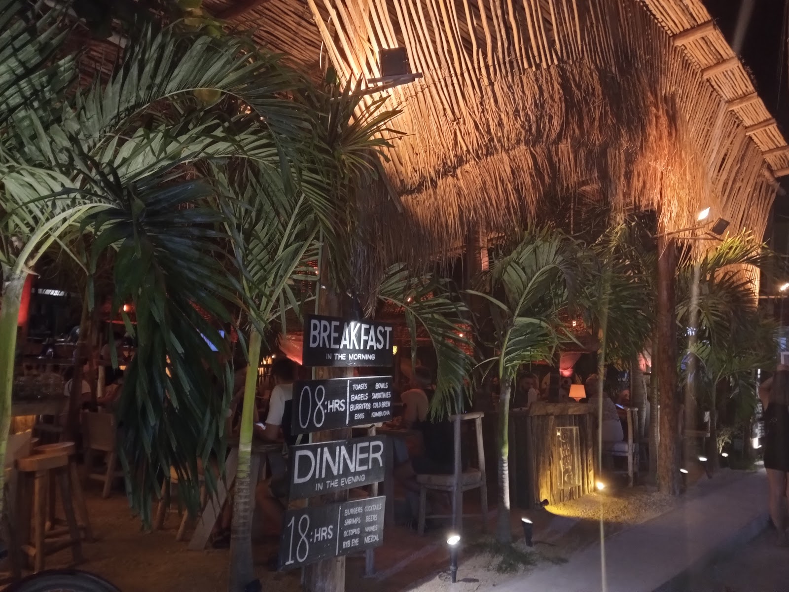 MONKEYS - Isla Holbox