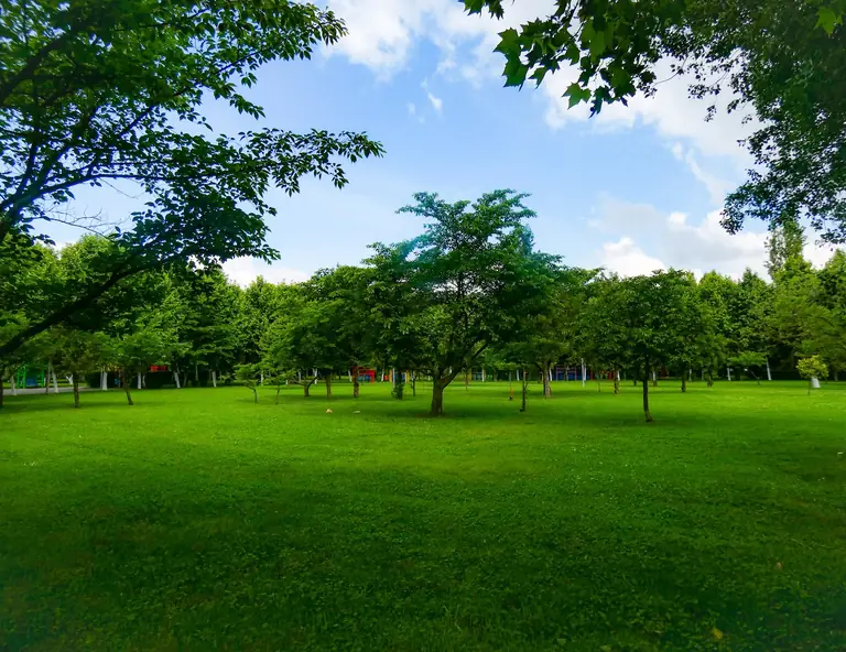 Childrens World Park