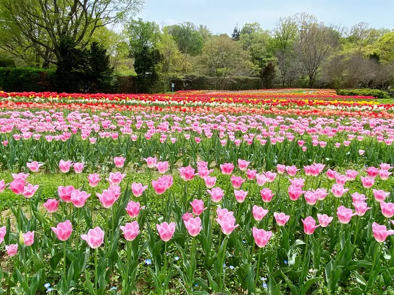 Umami-kyūryō Park
