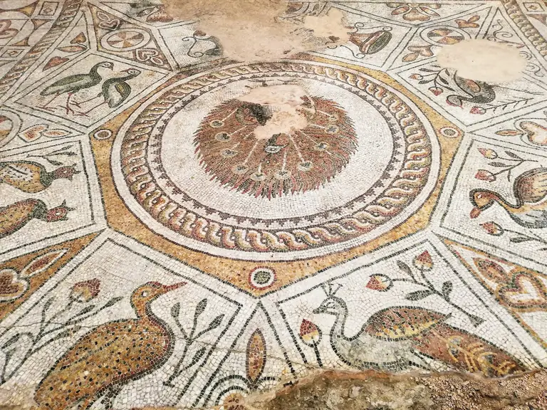 The Bishops Basilica (Episcopal Basilica of Philippopolis)