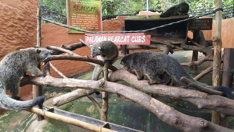 Palawan Butterfly Ecological Garden and Tribal Village